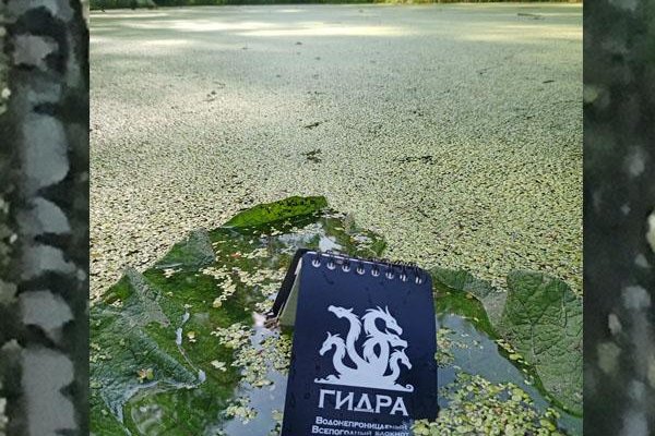 Кракен ат вход