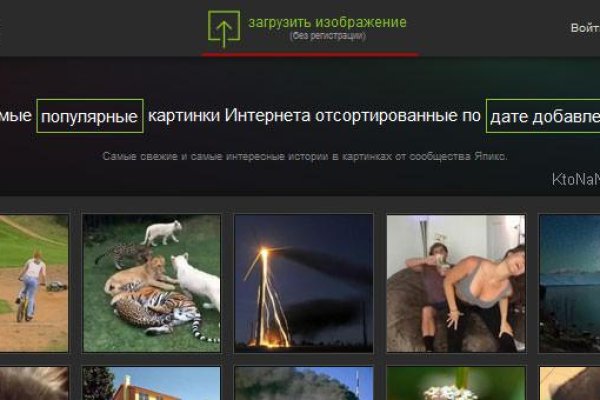 Кракен рабочая ссылка